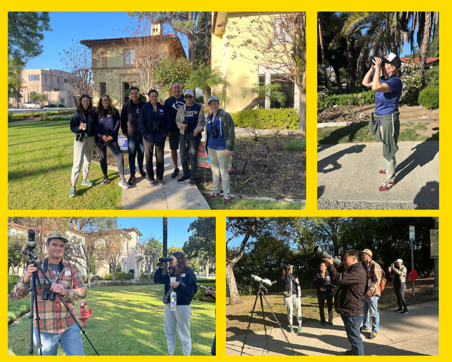 Photo collage: outdoor film crew and group posing on sunny grassy lawn
