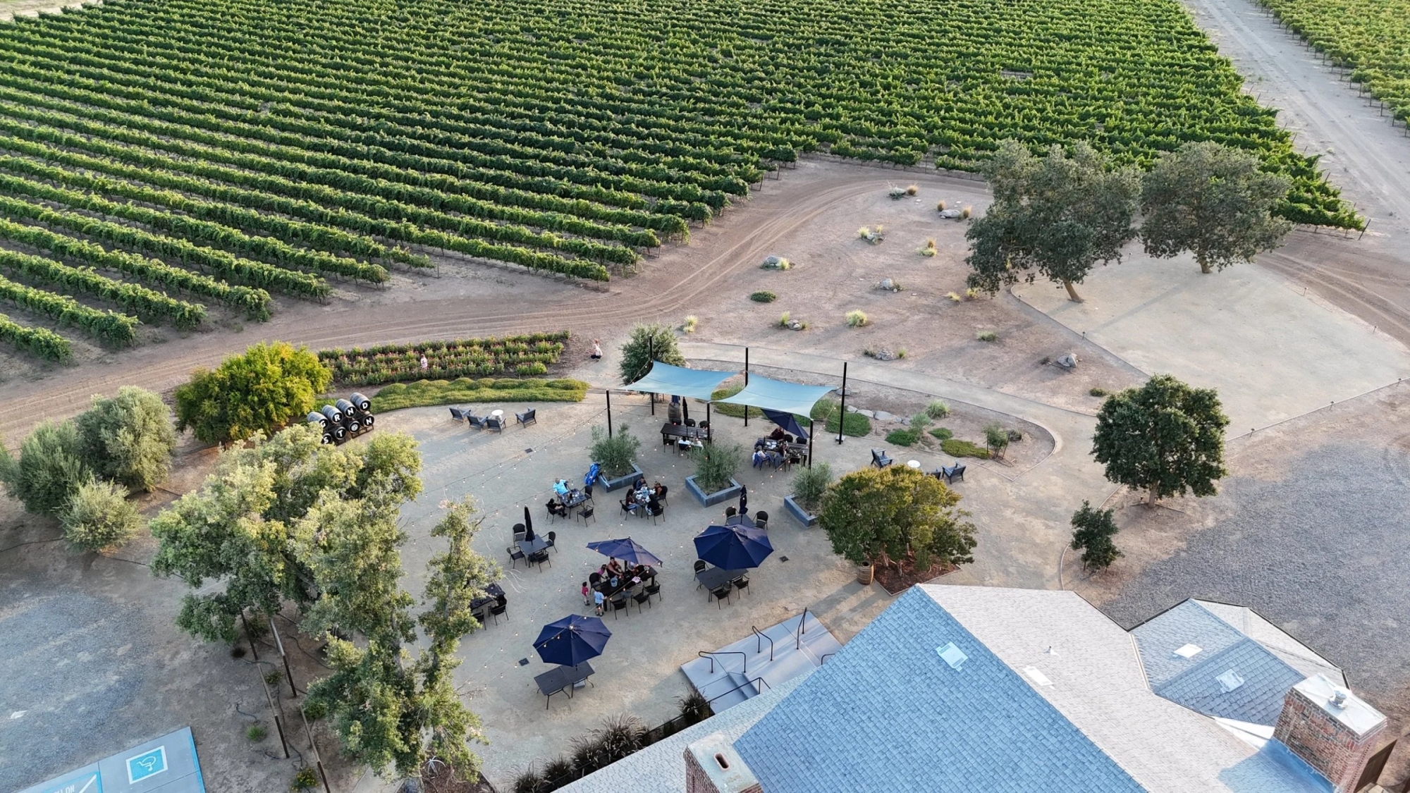 Aerial view of green vineyard and dirt farmyard with blue ATVs and buildings