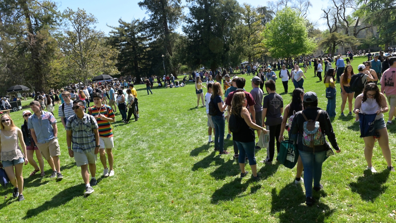Picnic Day