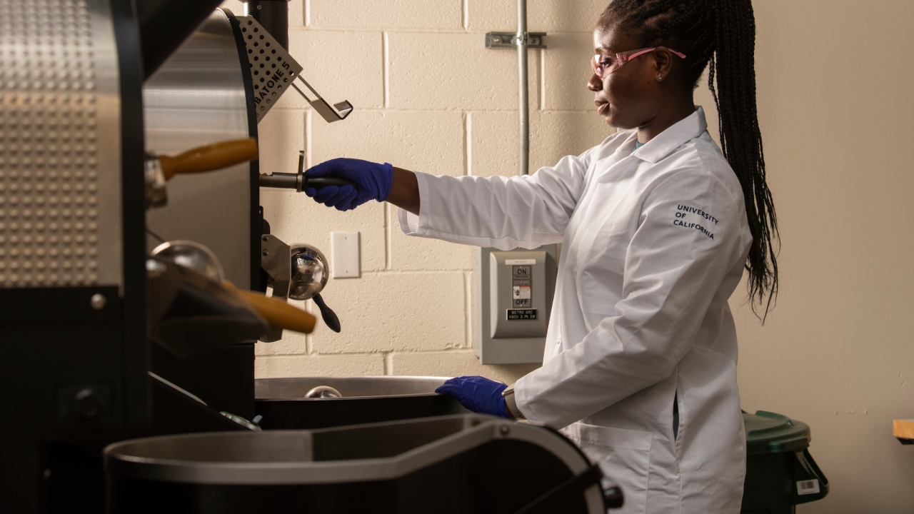 working in a lab