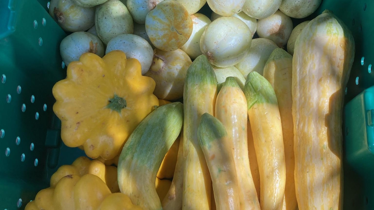 vegetables