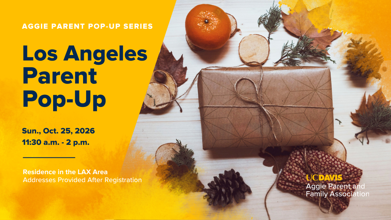 Autumn flyer: wrapped gift, orange, leaves and pine cones for Los Angeles Parent Pop-Up