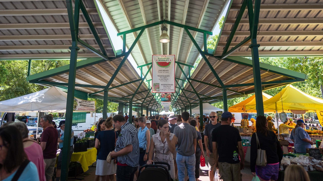 Davis farmer's market