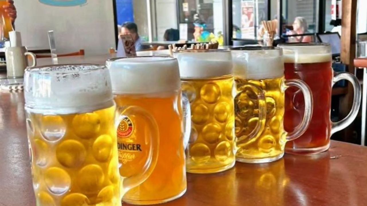 row of beer steins