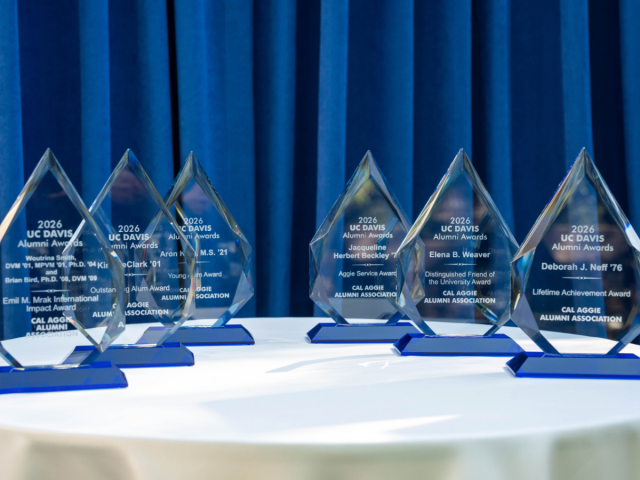 Crystal leaf-shaped glass awards on white table, blue curtain backdrop