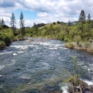 raft going down a river
